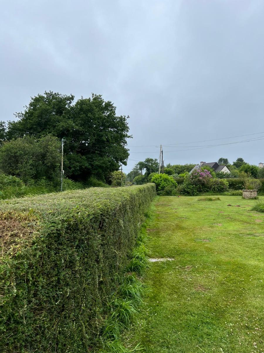 Chantier d'entretien de jardin réalisé par Antoine Machacek, paysagiste du réseau Factotum, près de Brest 