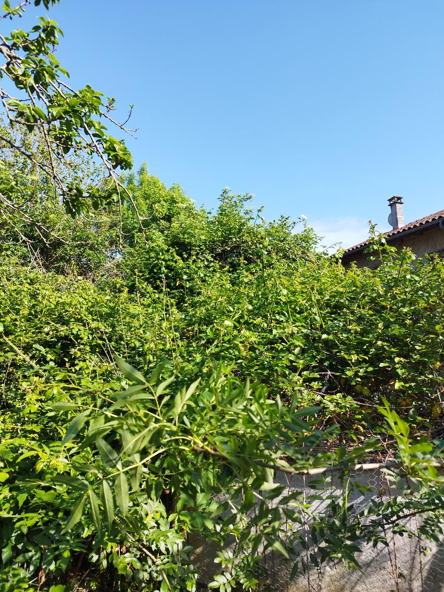 Chantier d'entretien de jardin réalisé par Pascal le Jardinier, paysagiste du réseau Factotum, près de Berat