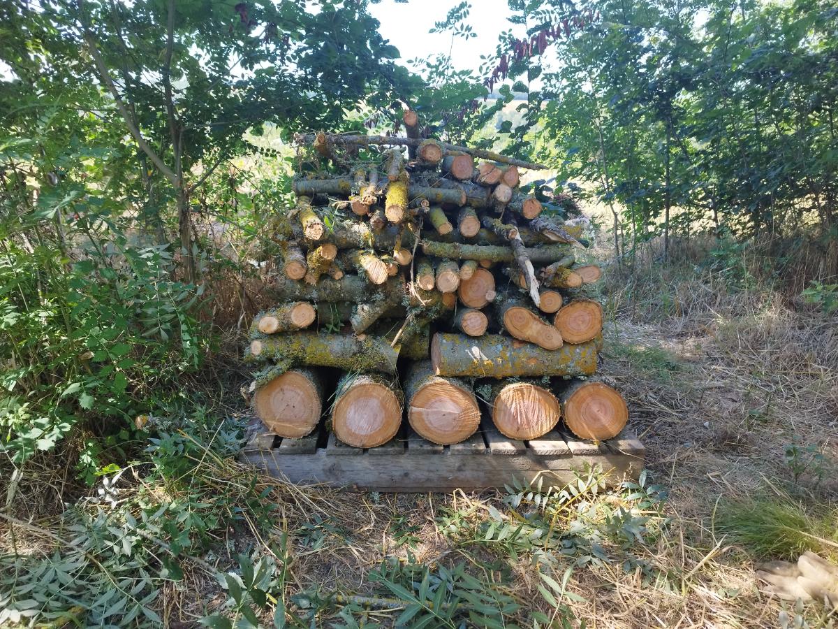 Chantier d'entretien de jardin réalisé par Pascal le Jardinier, paysagiste du réseau Factotum, près de Berat