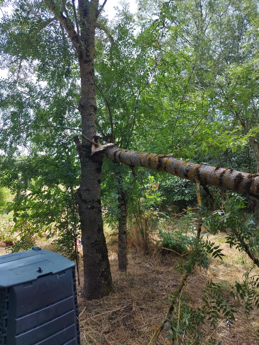 Chantier d'entretien de jardin réalisé par Pascal le Jardinier, paysagiste du réseau Factotum, près de Berat